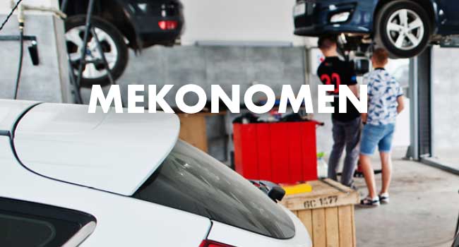 Project Mekonomen