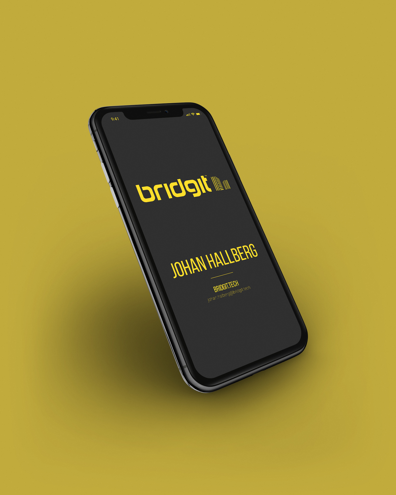 Bridgit logo cellphone