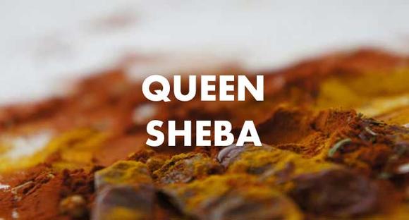 Project Queen Sheba