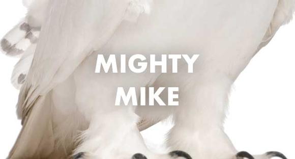 Project Mighty Mike
